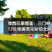 豫西花事图鉴：三门峡12处绝美赏花秘境全解析..（图2）
