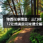 豫西花事图鉴：三门峡12处绝美赏花秘境全解析..（图1）