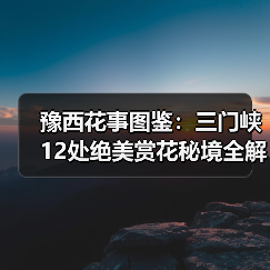 豫西花事图鉴：三门峡12处绝美赏花秘境全解析..（图4）