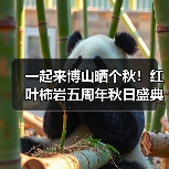 一起来博山晒个秋！红叶柿岩五周年秋日盛典启幕（图1）
