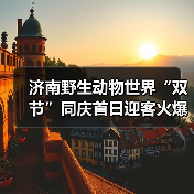 济南野生动物世界“双节”同庆首日迎客火爆（图2）