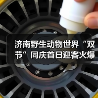 济南野生动物世界“双节”同庆首日迎客火爆（图4）