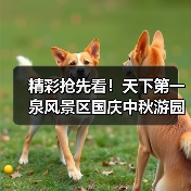 精彩抢先看！天下第一泉风景区国庆中秋游园会即将开启（图1）
