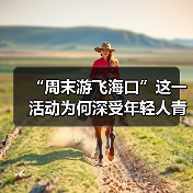 “周末游飞海口”这一活动为何深受年轻人青睐?（图1）