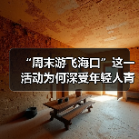 “周末游飞海口”这一活动为何深受年轻人青睐?（图3）