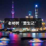 老柿树“重生记”（图3）