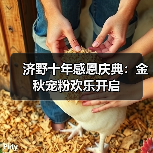 济野十年感恩庆典：金秋宠粉欢乐开启（图4）
