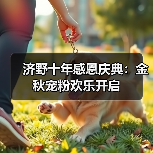 济野十年感恩庆典：金秋宠粉欢乐开启（图2）