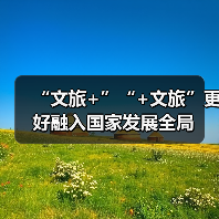 “文旅+”“+文旅”更好融入国家发展全局（图4）