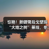 惊艳！新疆雪后戈壁现“大地之树”景观，冬季旅游新热点，速查攻略..（图4）