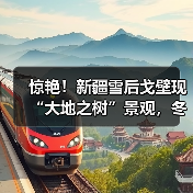 惊艳！新疆雪后戈壁现“大地之树”景观，冬季旅游新热点，速查攻略..（图2）