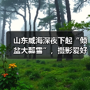 山东威海深夜下起“倾盆大瓢雪”，摄影爱好者凌晨蹲守成山头，拍出..（图3）