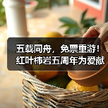 五载同舟，免票重游！红叶柿岩五周年为爱献礼，邀您归家！（图3）