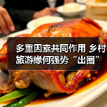 多重因素共同作用 乡村旅游缘何强势“出圈”（图2）