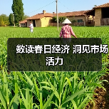 数读春日经济 洞见市场活力（图3）