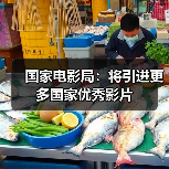 国家电影局：将引进更多国家优秀影片（图4）