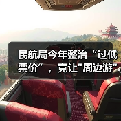 民航局今年整治“过低票价”，竟让