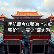 民航局今年整治“过低票价”，竟让