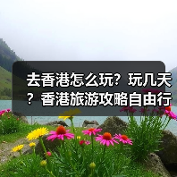 去香港怎么玩？玩几天？香港旅游攻略自由行攻略..（图3）
