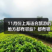 11月份上海适合旅游的地方都有哪些？都有哪些好玩的旅游景点和美..（图2）