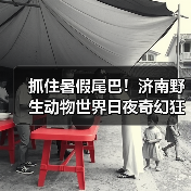 抓住暑假尾巴！济南野生动物世界日夜奇幻狂欢，甜蜜恋爱季点燃盛夏终章（图1）