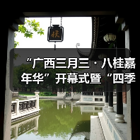 “广西三月三・八桂嘉年华”开幕式暨“四季村歌”活动启动仪式在南宁举行（图4）