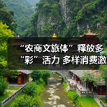“农商文旅体”释放多“彩”活力 多样消费激活“春日经济”一池春水