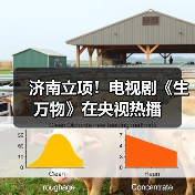 济南立项！电视剧《生万物》在央视热播（图4）