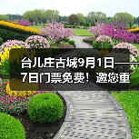 台儿庄古城9月1日——7日门票免费！邀您重走英雄台儿庄（图4）