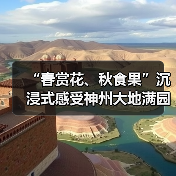 “春赏花、秋食果”沉浸式感受神州大地满园春色和澎湃活力（图2）