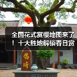 全国花式赏樱地图来了！十大胜地解锁春日赏花（图4）