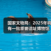 国家文物局：2025年将有一批重要遗址博物馆建成开放（图4）