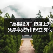 “票根经济”热度上升 凭票享受折扣权益 如何推动文旅商体展深度融合？（图3）