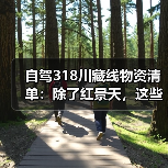 自驾318川藏线物资清单：除了红景天，这些救命东西一定要带..（图3）