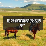 用好游客满意度这把“尺”（图2）