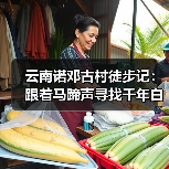 云南诺邓古村徒步记：跟着马蹄声寻找千年白族村与火腿的秘密..（图1）