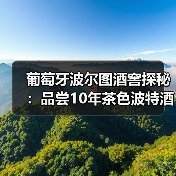葡萄牙波尔图酒窖探秘：品尝10年茶色波特酒，Douro河畔漫步..（图2）