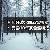 葡萄牙波尔图酒窖探秘：品尝10年茶色波特酒，Douro河畔漫步..（图4）