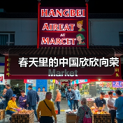 春天里的中国欣欣向荣（图2）