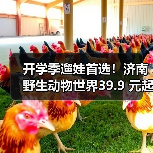 开学季遛娃首选！济南野生动物世界39.9 元起，白 + 黑奇幻旅程等你来探秘（图4）