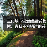 三门峡12处绝美赏花秘境，春日不容错过的芬芳之旅（图1）