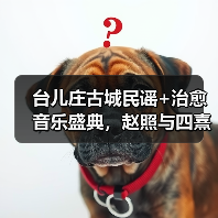 台儿庄古城民谣+治愈音乐盛典，赵照与四熹丸子震撼演绎（图2）