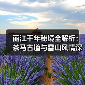 丽江千年秘境全解析：茶马古道与雪山风情深度体验攻略（图1）