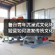 鲁台青年沉浸式文化体验营如何激发传统文化创新活力？（图4）