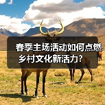 春季主场活动如何点燃乡村文化新活力？（图4）
