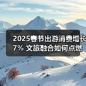 2025春节出游消费增长7% 文旅融合如何点燃文旅新热潮？（图2）