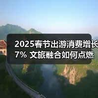 2025春节出游消费增长7% 文旅融合如何点燃文旅新热潮？（图4）