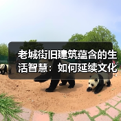 老城街旧建筑蕴含的生活智慧：如何延续文化与社区纽带？（图4）