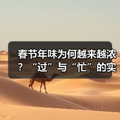 春节年味为何越来越浓？“过”与“忙”的实践密码（图3）