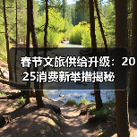 春节文旅供给升级：2025消费新举措揭秘（图3）